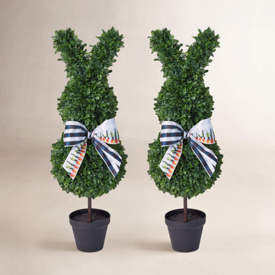 36" Boxwood Topiary in Pot