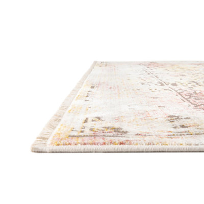 Oriental Indoor Rug