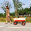 Chariot pour outils de sport en plein air