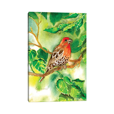 House Finch by Christine Reichow - Wrapped Canvas Gallery-Wrapped Canvas Giclée
