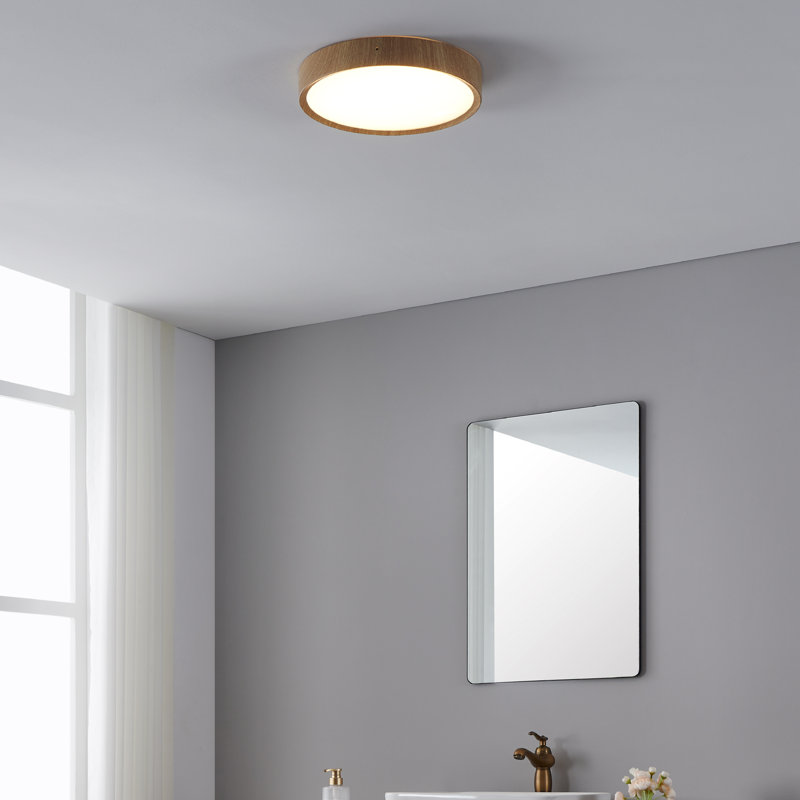 Maio Plastic LED Flush Mount