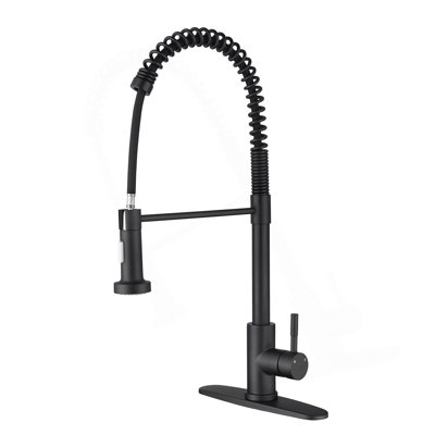 Kitchen Faucet With Pull Out Spraye