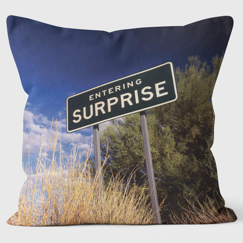 Entering Surprise - Lesser Spotted Britain Cushion