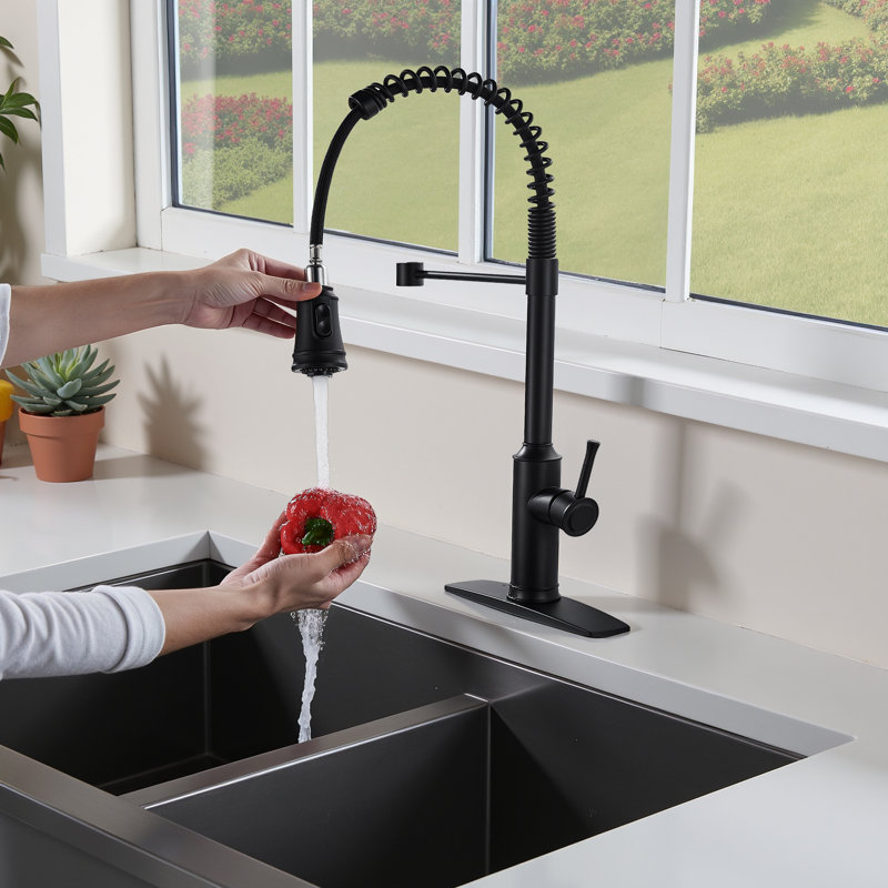 Pull Down Single Handle Kitchen Faucet with Accessories, Black