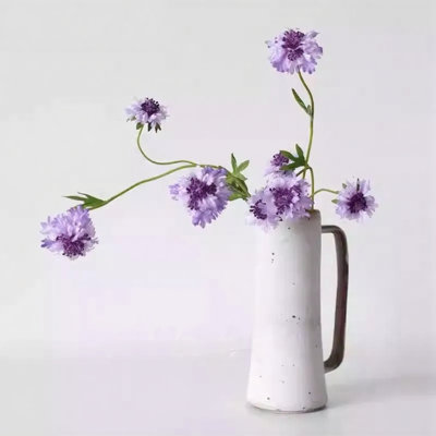 Minimal Scabiosa Stem â€“ 19.7"