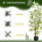 Faux Bamboo Tree in Cement Pot-1583110483