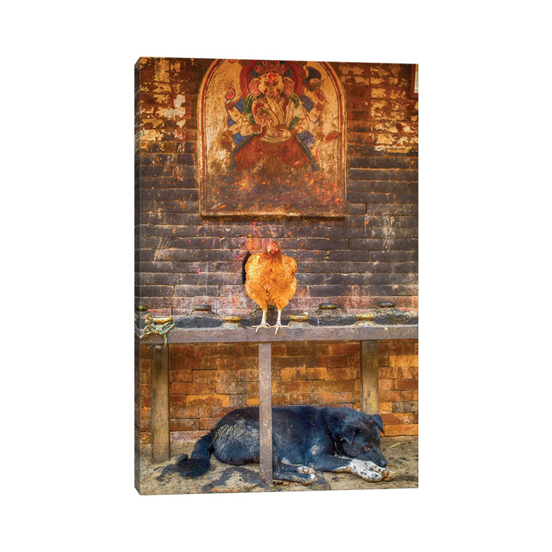 Bhaktapur Nepal Ganesh Hen And Sleeping Dog by Mark Paulda - Wrapped Canvas Print, 20.32 cm H x 30.48 cm W