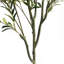 Olive artificielle-545847895