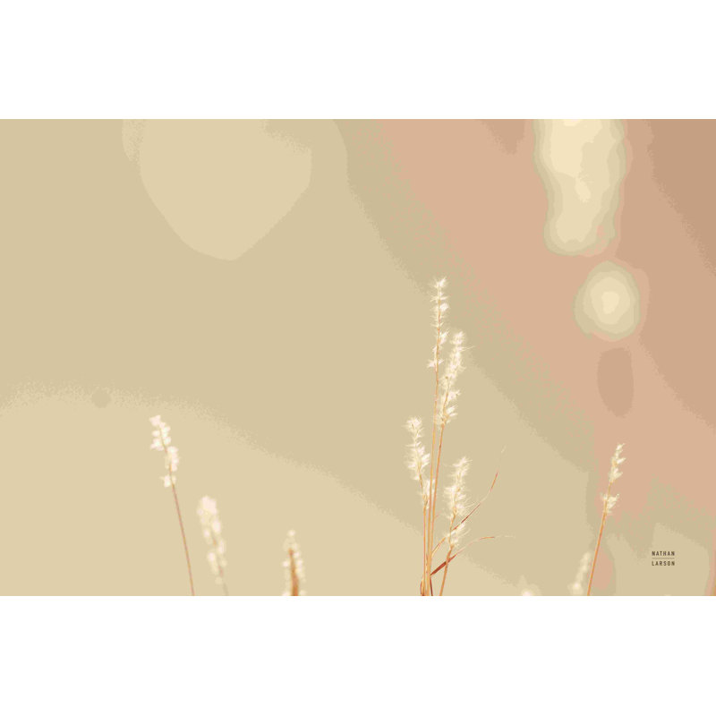 «Lakeside Grasses I» par Nathan Larson, reproduction faite à la machine, H 8 po x l 12 po, Non, Wrapped Canvas