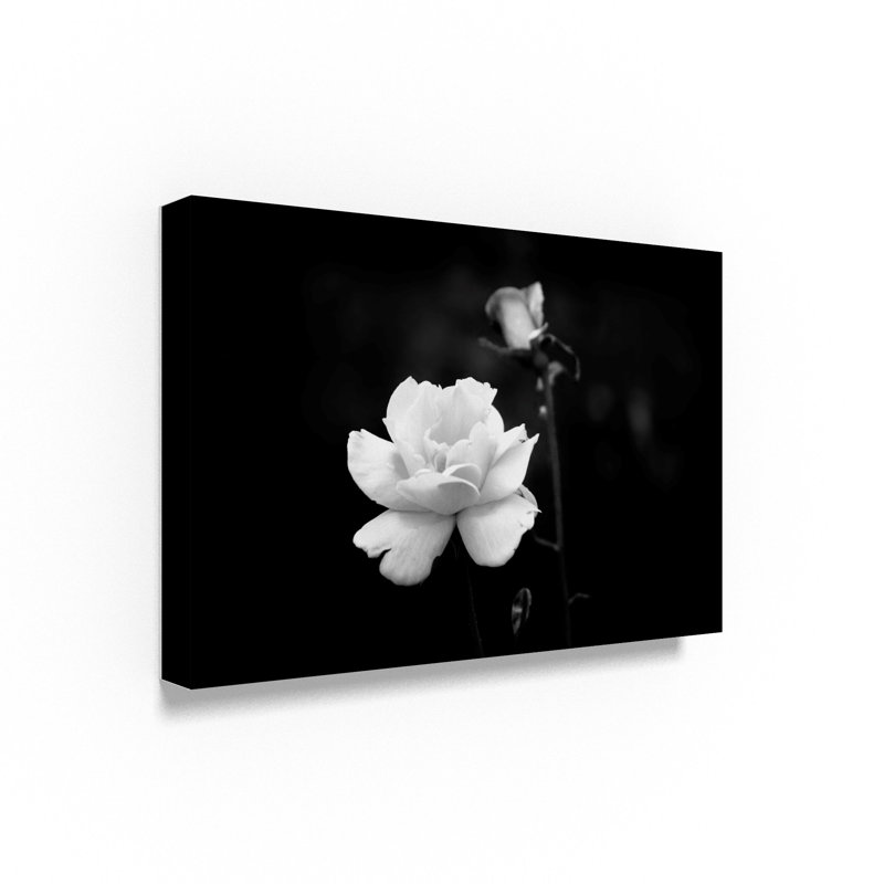 « white rose », reproduction de photo sur toile tendue, H 22 po x l 32 po