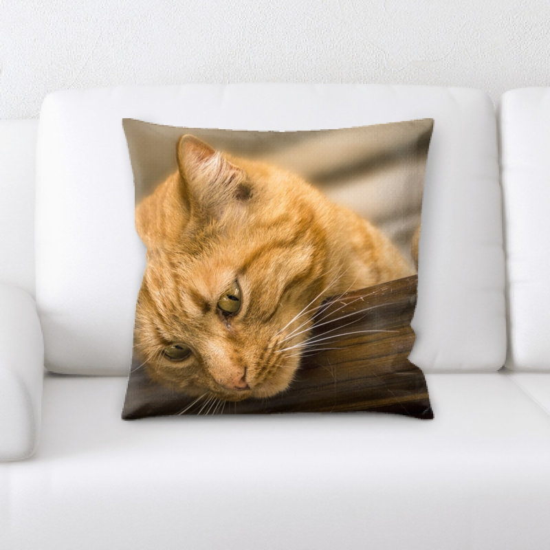 Microsuede Throw Pillow