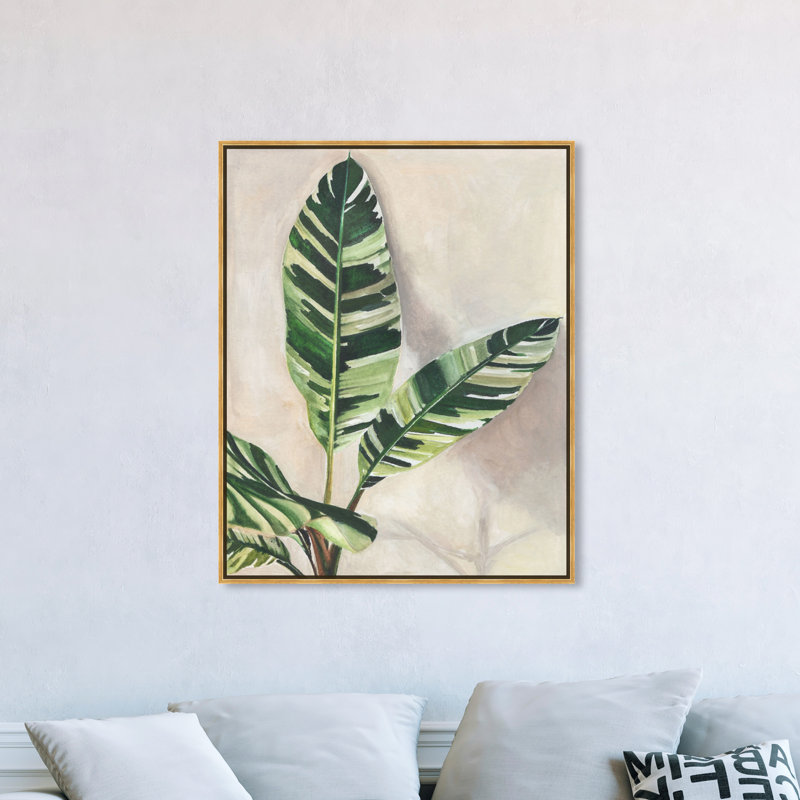 Jolies plantes I - Impression sur toile, H 46,5 po x l 37,5 po x P 1,2 po, Toile encadrée flottante dorée
