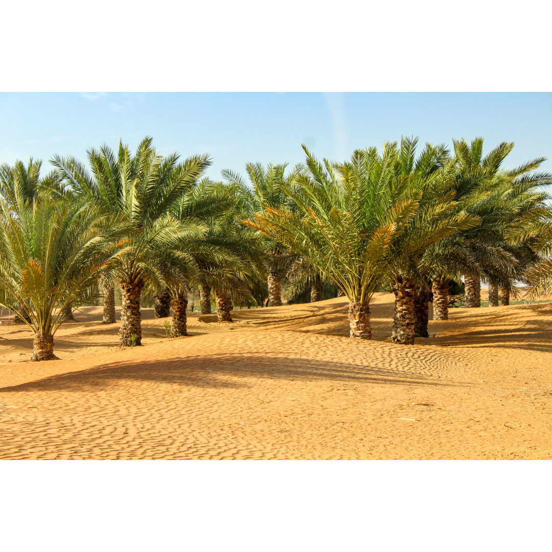 Oasis In Dubai Desert von Aurore Kervoern - Druck