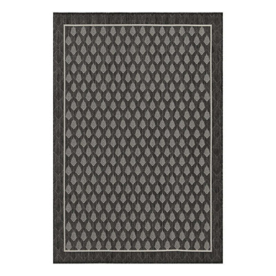 Versatile Indoor/Outdoor Area Rug
