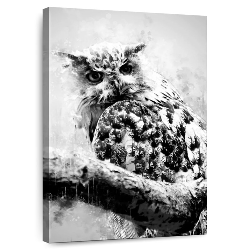 Brampt Owl Looking Black And White, 30" H x 20" W