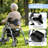 2 In 1 Rollator Walker-125490663