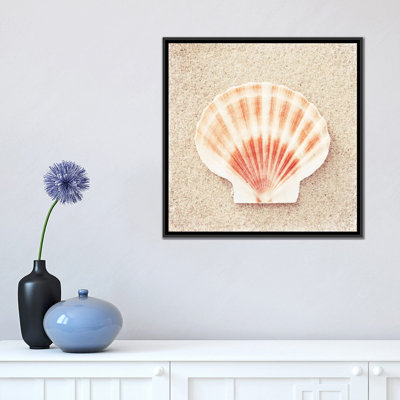 " Scallop Shell " by Carolyn Cochrane