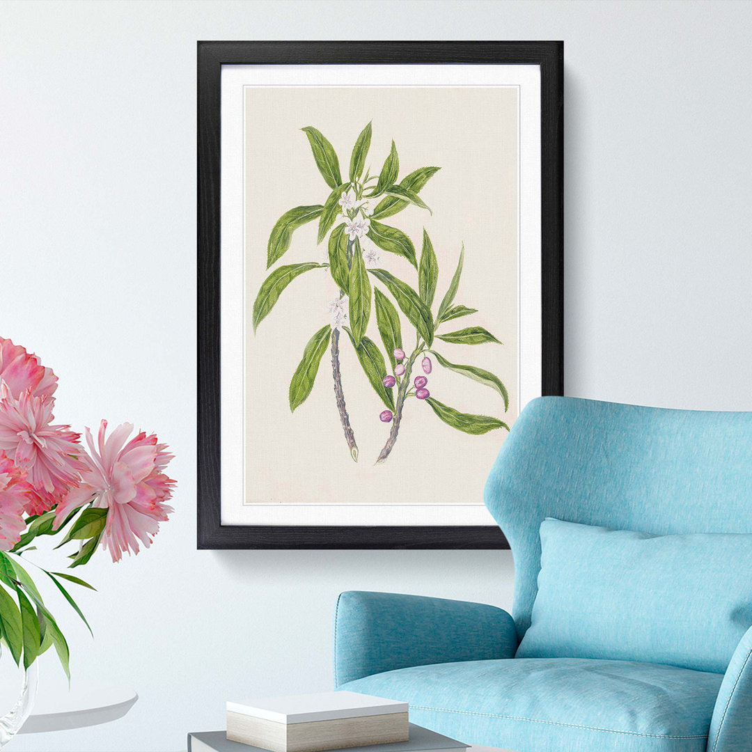 Ngaio Flowers by Sarah Featon - Framed Print