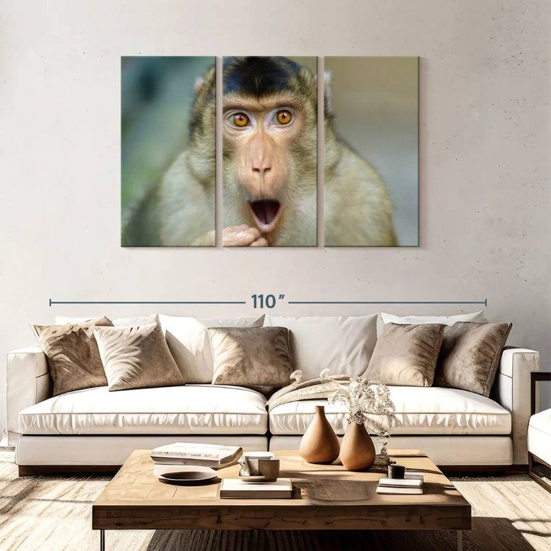 Brampt singe I, H 48 po x l 74 po