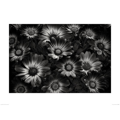 Print on Canvas