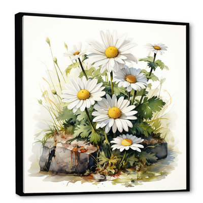 Daisy Flower On Calm Stone III - Daisy Wall Art