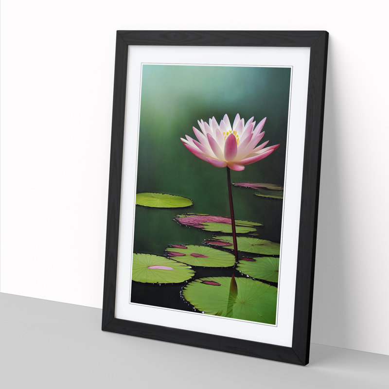 Water Lily Flower Pond - Single Picture Frame Print, Black, 64cm H x 46cm W x 2cm D