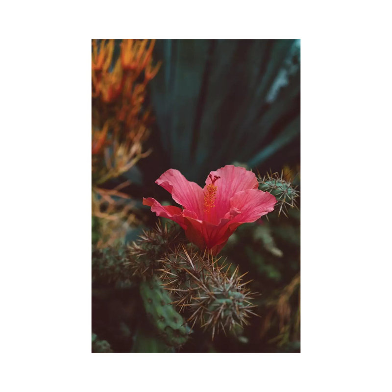 California Bloom II 1 Piece Wall Art on Canvas, 30.48cm H x 20.32cm W x 1.91cm D, Wrapped Canvas