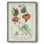 Reproduction encadrée Turpin Tropical Botanicals IV - bois massif-1403929374