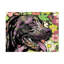 «Animals Out There» sur toile-1511991084