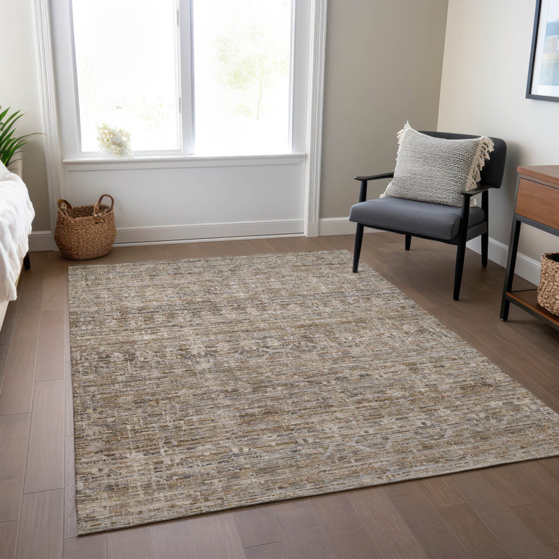 Machine Washable Indoor/Outdoor Xhevrie Brown Rug, Rectangle 8' x 10'