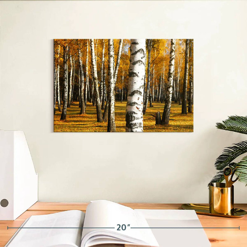 Alvord Golden Birch Grove, H 8 po x l 12 po
