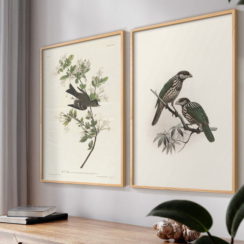 Vintage Animal II - estampe numérique encadrée - ensemble de 2, Naturel, H 23 po x l 58 po
