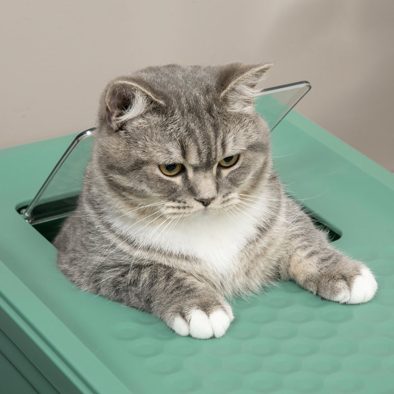 Coffre à litière pour chat avec odeur à l'épreuve des odeurs -, spacieux, avec boîte pour animaux spacieuse à l'intérieur, facile d'entretien