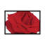 «Red Rose», reproduction d'impression sur toile-29483476-73649700-73649701