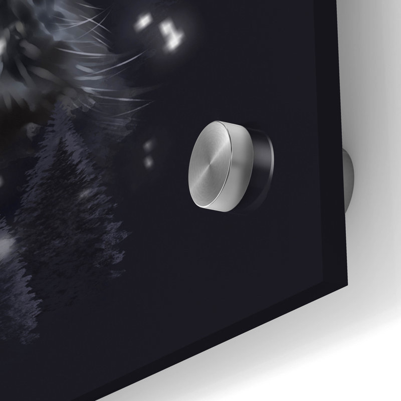 Art mural en verre acrylique épique «939 - Midnight Howl» par Kajenna Art, 24 po x 24 po, H 24 po x l 24 po