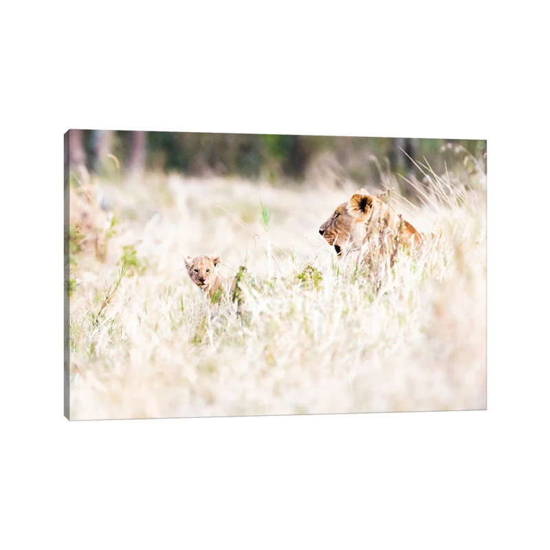 Lioness With Baby Cub In Grasslands by Susan Richey - Gallery-Wrapped Canvas Giclée on Canvas, 20.32 cm H x 30.48 cm W
