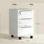 File Cabinet-1830832993