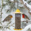 Mangeoire d'oiseaux Finch