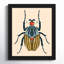 «Farwell Beetle Bug I encadré sur papier» par Farwell-91291835-91291836