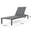 Paire de chaises longues d'extérieur gris moderne et chaises longues (2), matériau en filet, pour la cour arrière