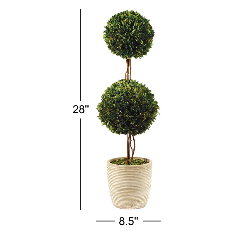 Preserved Boxwood Double Ball Topiary in Pot, 28" H x 8.5" W x 8.5" D