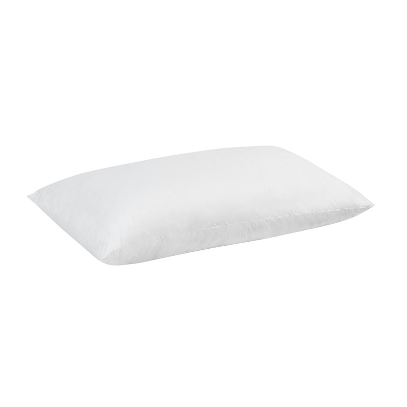 Insert de coussin réversible en coton Villa, H 21 po x l 37 po