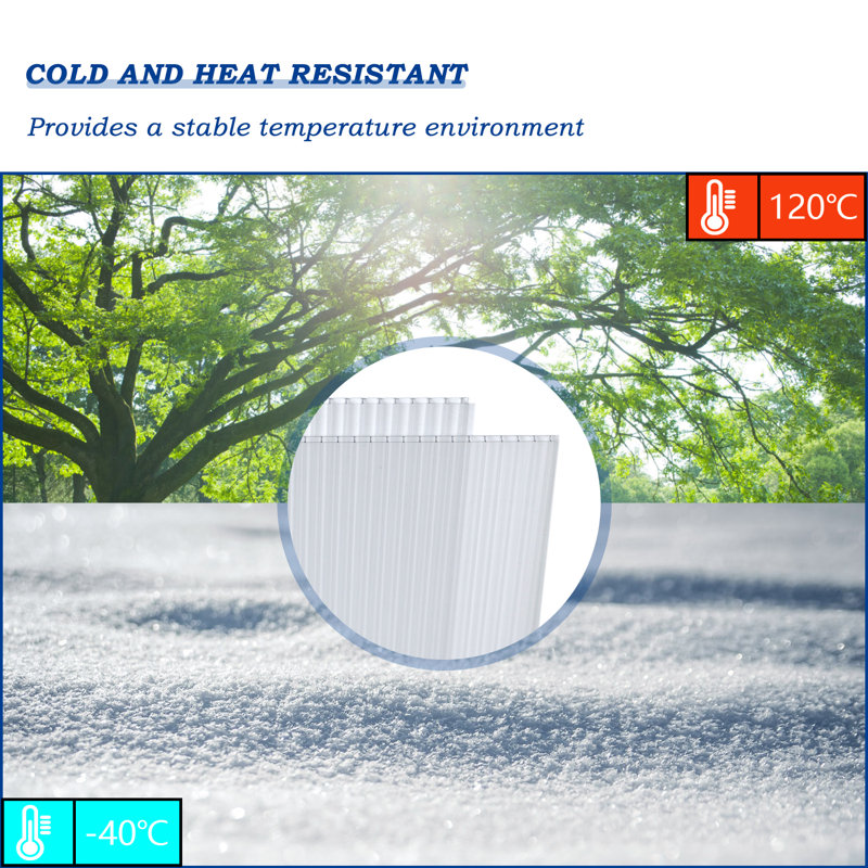 Panneaux en polycarbonate à double paroi 6 pièces Aoodor, H 0,2 po x l 62 po x P 38 po