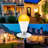12 Watt (100 Watt Equivalent), A19 LED, Non-Dimmable Light Bulb, White (2000K) E26/Medium (Standard) Base