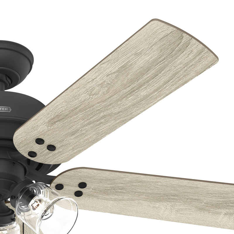 52" Shady Grove 5 - Blade Ceiling Fan With LED Light Kit And Pull Chain, Matte Black