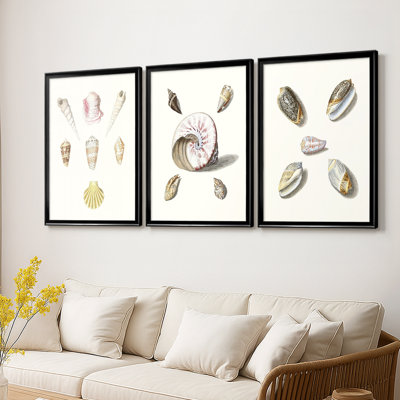 Pastel Knorr Shells I  -Custom Framed  Wrapped Gallery Canvas - 3 Pieces