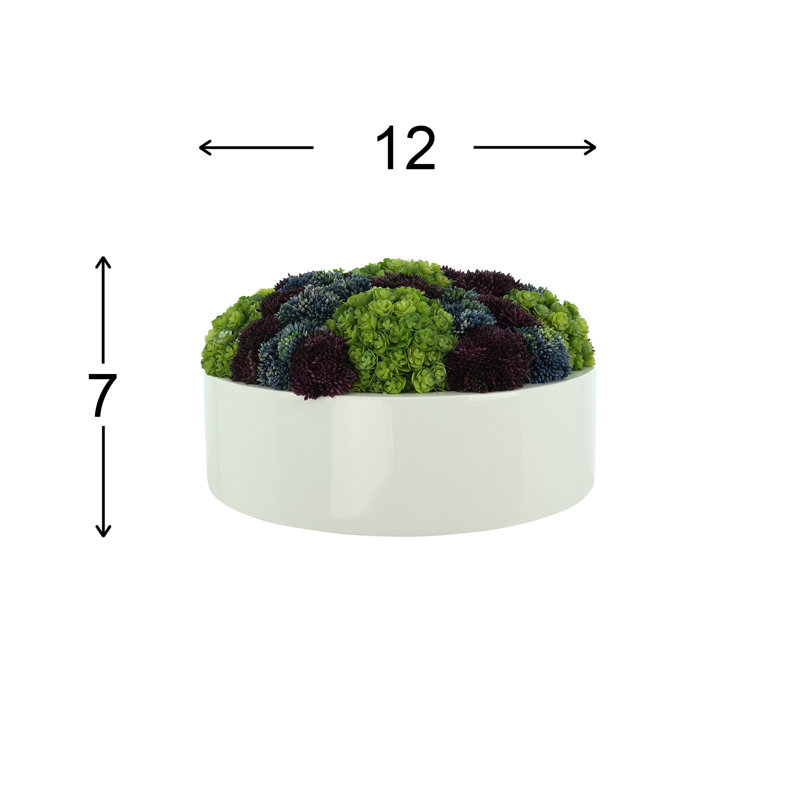Sedum and Chick Succulent Arrangement