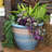Chanze Indoor/Outdoor Planter - 12" x 12" x 10" Round Ceramic Planter 2-Count - Blue/Beige-1726537761-1726537772-1726537773
