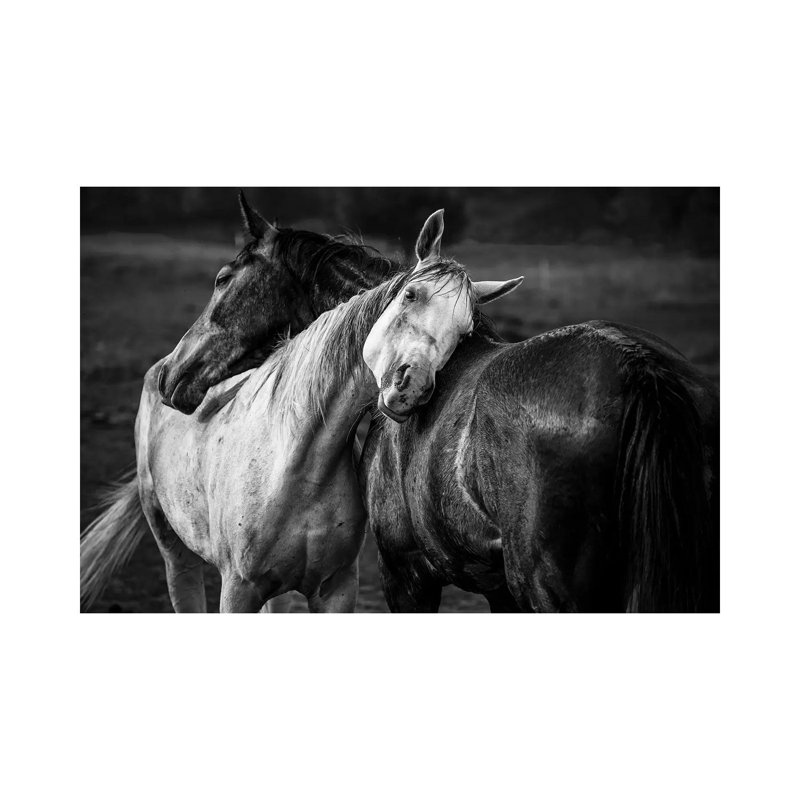" Warm Rain " by Niko Chapa, No Mat, 18'' H x 26'' W x 1.5'' D, Wrapped Canvas