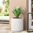 MGO PLANTER